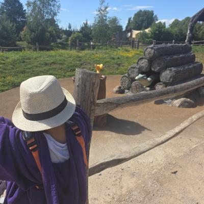 Image from MamaBear