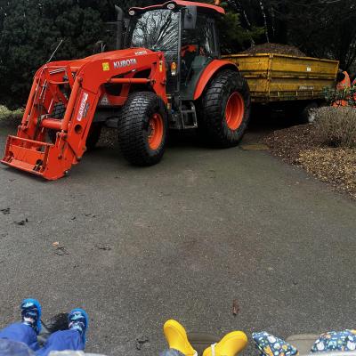 Image from Little Hedgehogs