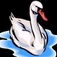 Cygnets