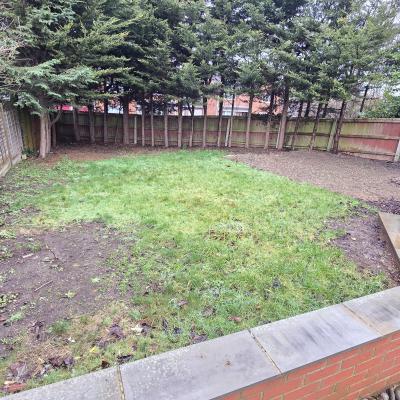 Image from Seedlings Tale SN