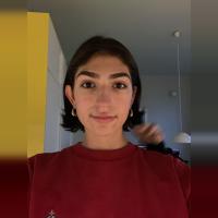 sanei