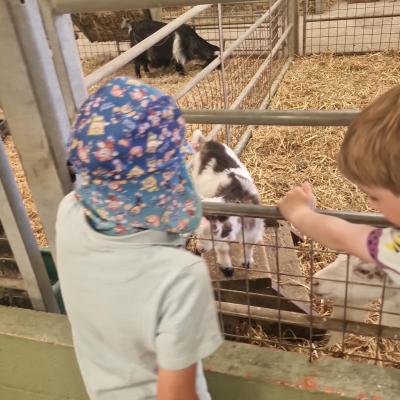 Image from kelly