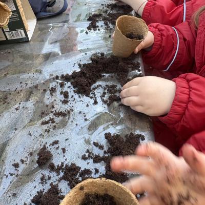 Image from Auntie Annies