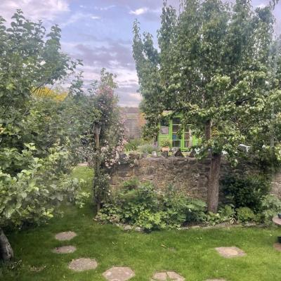 Image from Little Greens