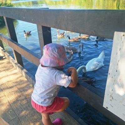 Image from Bright Skys Nursery