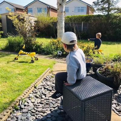 Image from Gemma