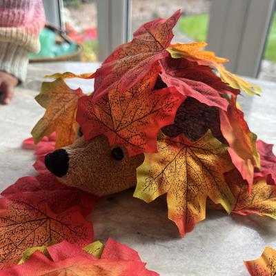 Image from melanie3