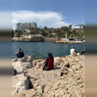 Sal 