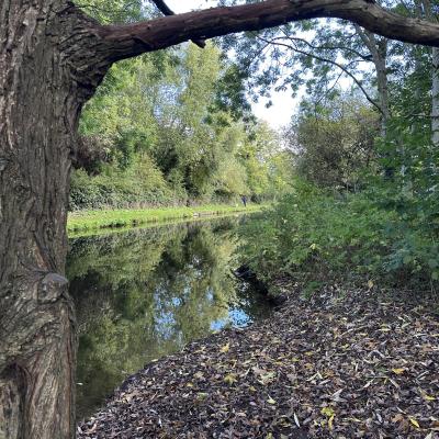 Image from Nichola