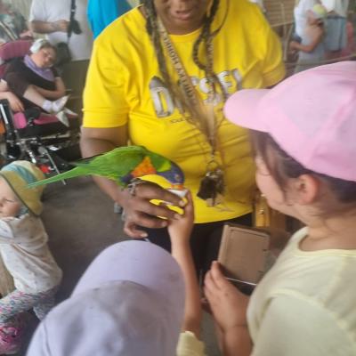 Image from MamaBear