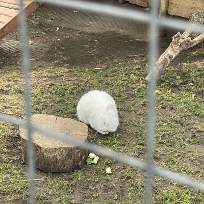 Image from Creative Buddies