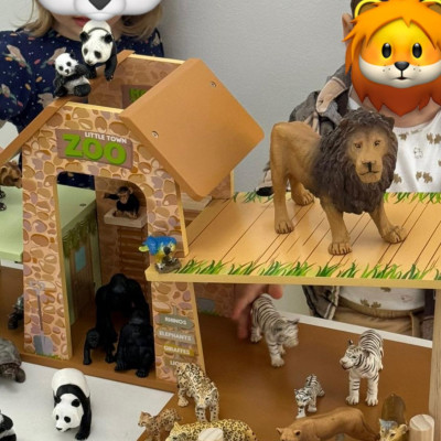 Image from First Steps Learning