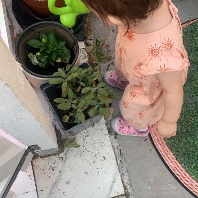 Image from Zeya