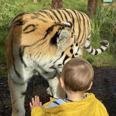 Image from Lisa Ireland