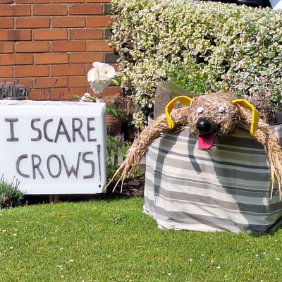 Image from Giggles