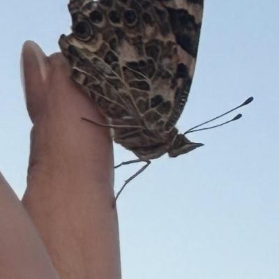 Image from Heather