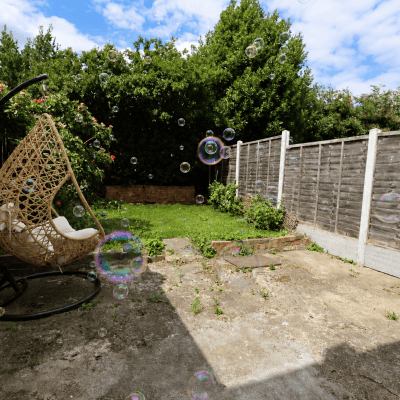 Image from Bloom