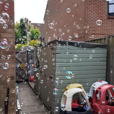 Image from Carol Tidy