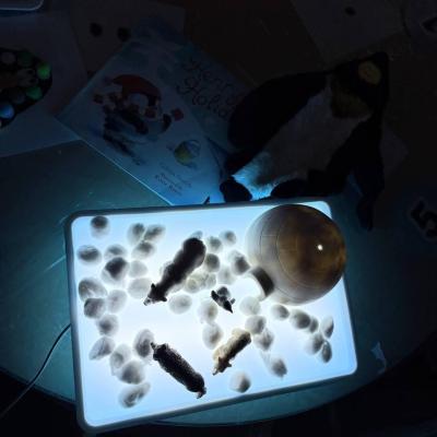 Image from Tiny Explorers 