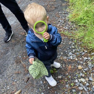 Image from Susannah 