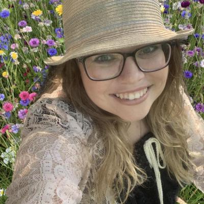 Image from Playful Dragonflies