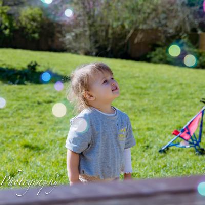 Image from Alice_LSC