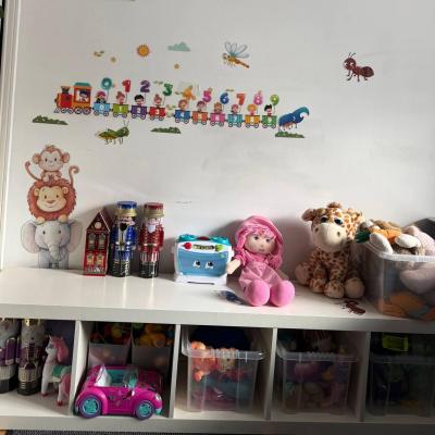 Image from Nasira