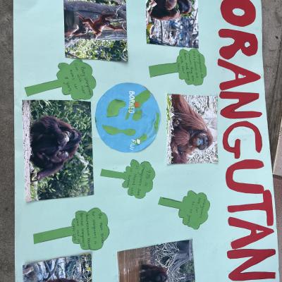 Image from Megan