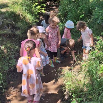 Image from MamaBear