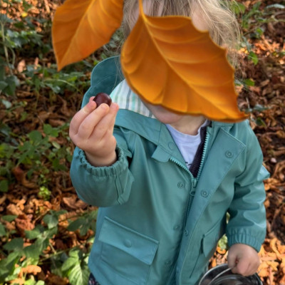 Image from First Steps Learning