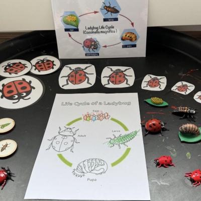 Image from GLH Childminding