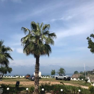 Image from Childminder 