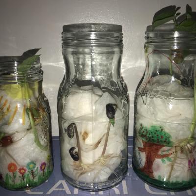 Image from MandyPoppins