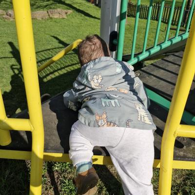 Image from Amber