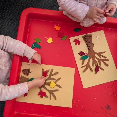 Image from Raquel Silva