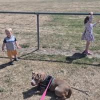 Dalepres