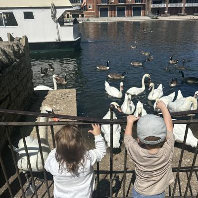 Image from Georgina