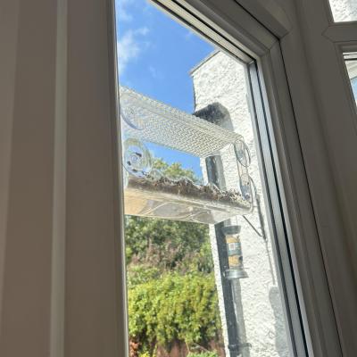 Image from Ada