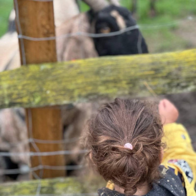 Image from Tiny Explorers 