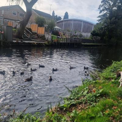 Image from Nichola