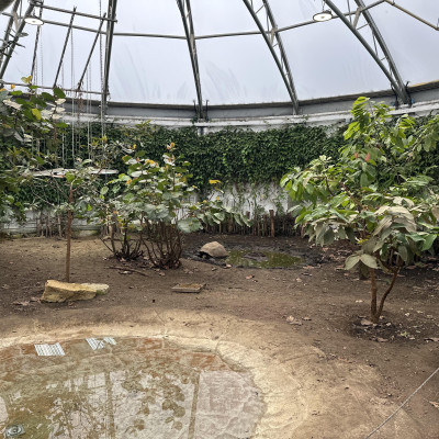 Image from Wendys childminding