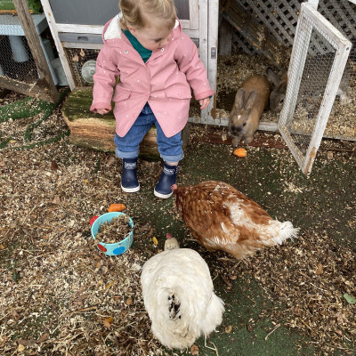 Image from Wanstead Childminder