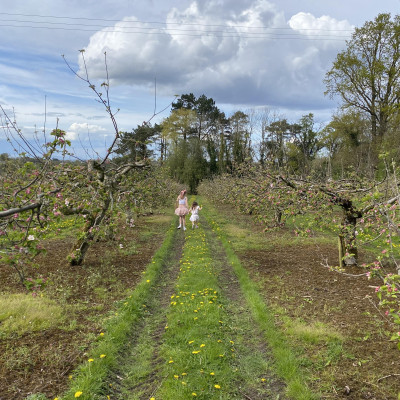 Image from Universal Guardian