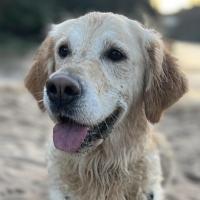 Helen