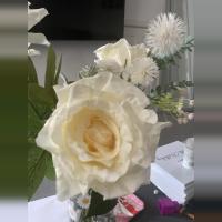 Sue_sue1