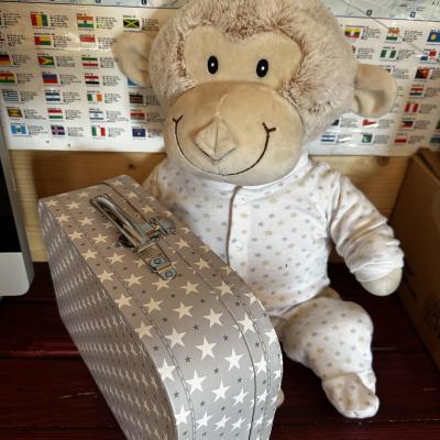 Image from Moffats Monkeys