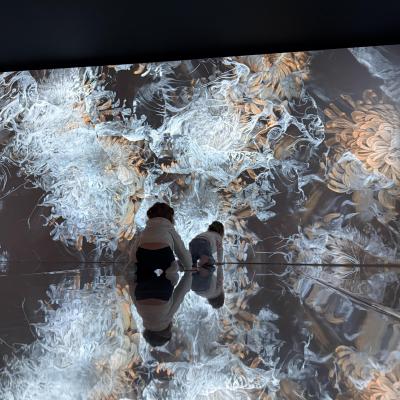 Image from Little T