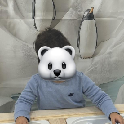 Image from First Steps Learning