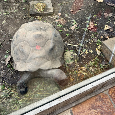 Image from Wendys childminding