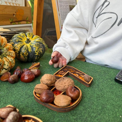 Image from Squirrels Leap